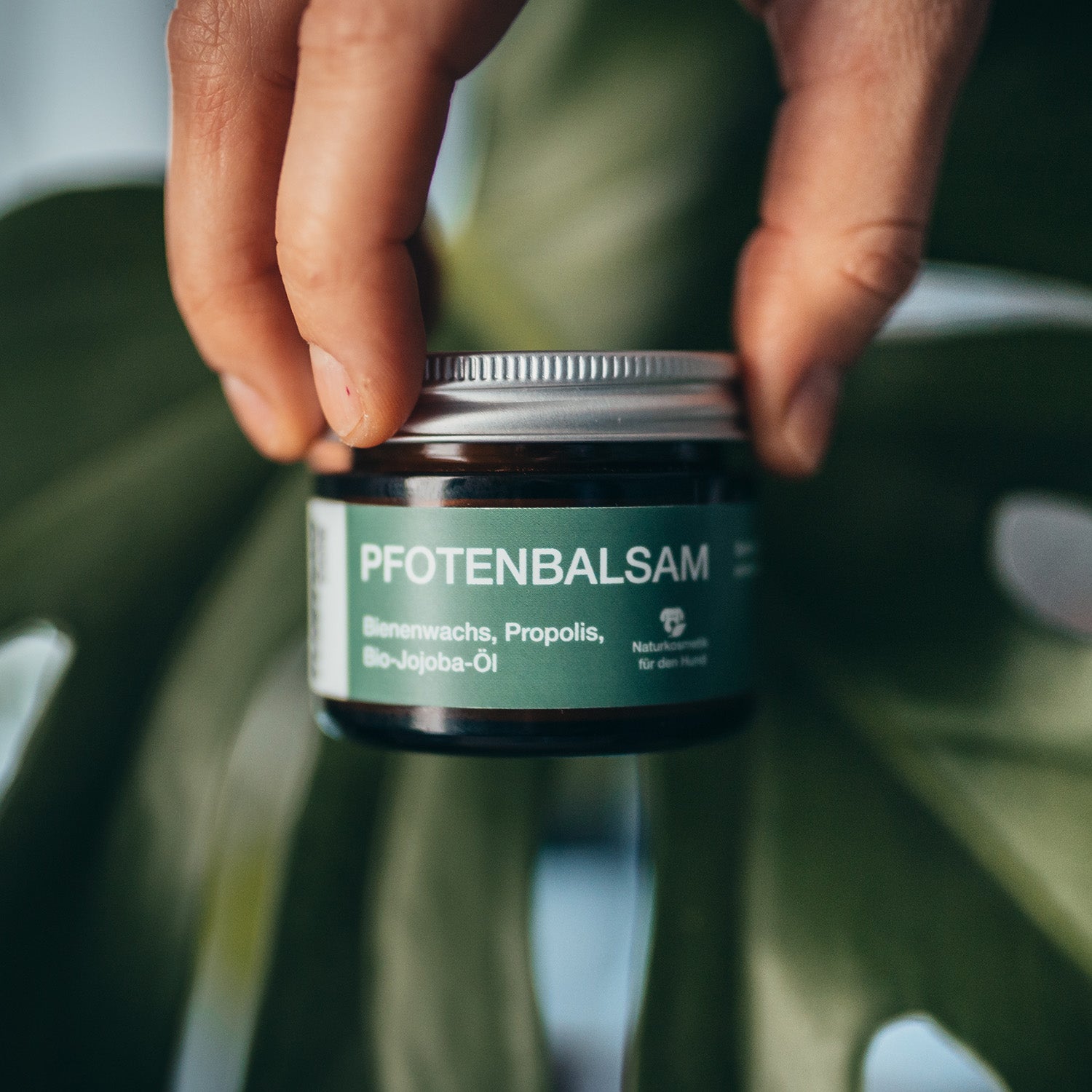 Pfotenbalsam - 50 ml - 100% natürlicher Pfotenschutz