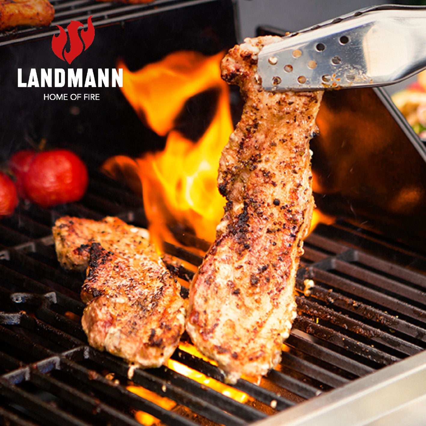 Gasgrill Rexon PTS 3.1 - schwarz mit Edelstahl-Brennern, emaillierten Grillrosten und stufenlos einstellbarer Hitze beim Grillen von Fleisch.