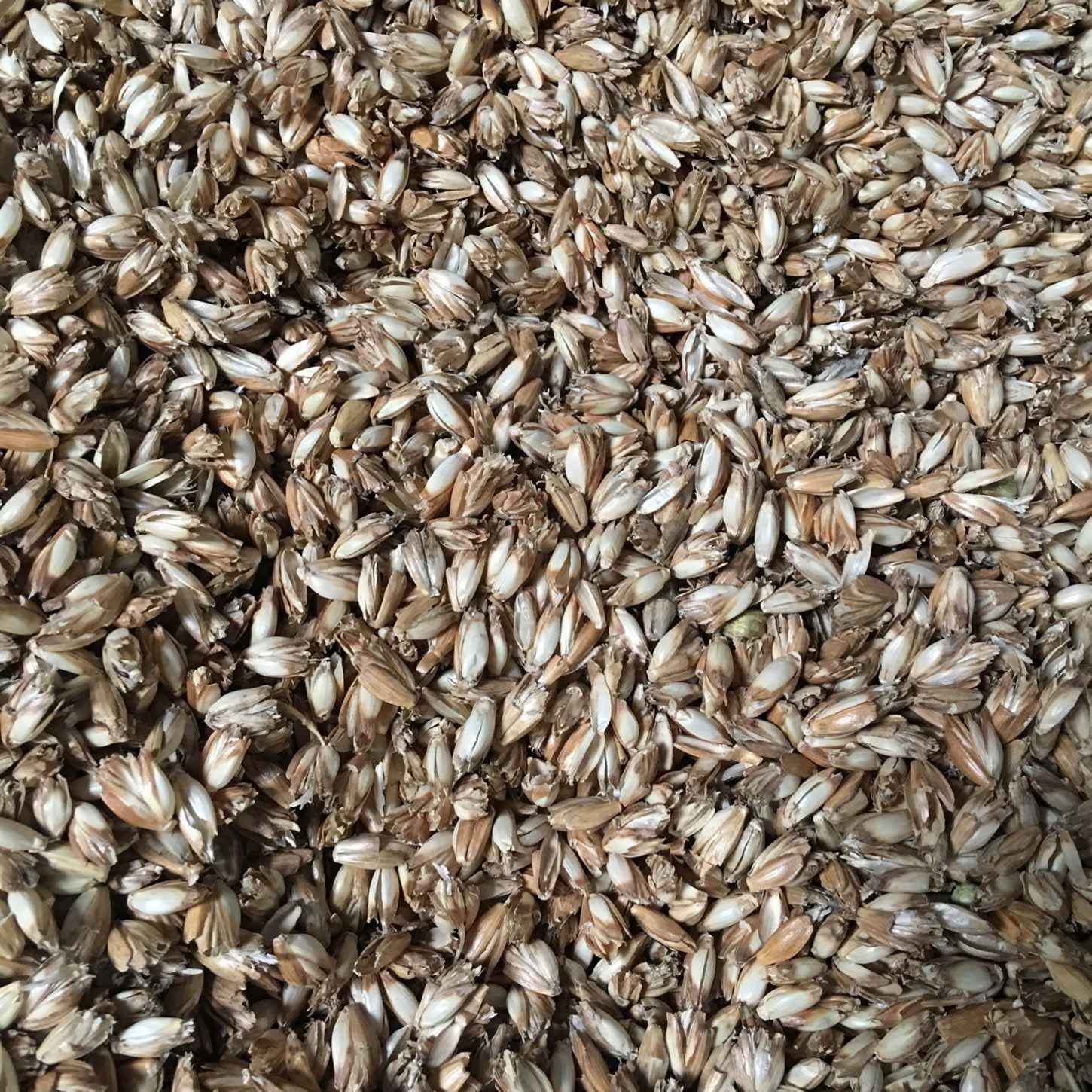 Bio Dinkelspelz zum Befüllen & Nachfüllen von Kissen & Bolstern - gereinigt, entstaubt, hitzebehandelt, bio aus Österreich, 10 kg Packung.