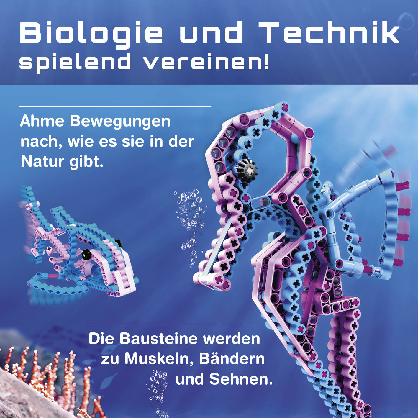 Baustein-Set Seepferdchen zeigt flexible Bausteine, die naturgetreue Bewegungen und elastische Strukturen nachbilden.