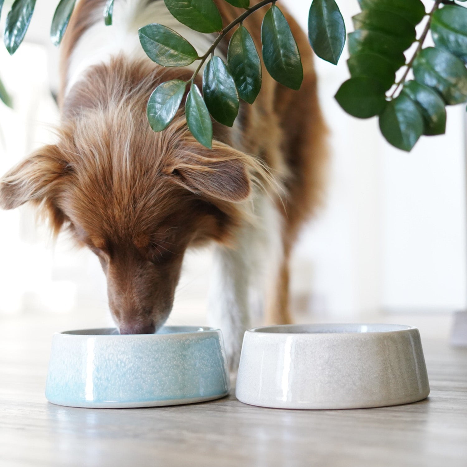 Hundenapf / Futternapf Keramik - 800 ml - lebensmittelecht, blau, handgefertigt, spülmaschinenfest, ideal für kleine und mittelgroße Hunde.