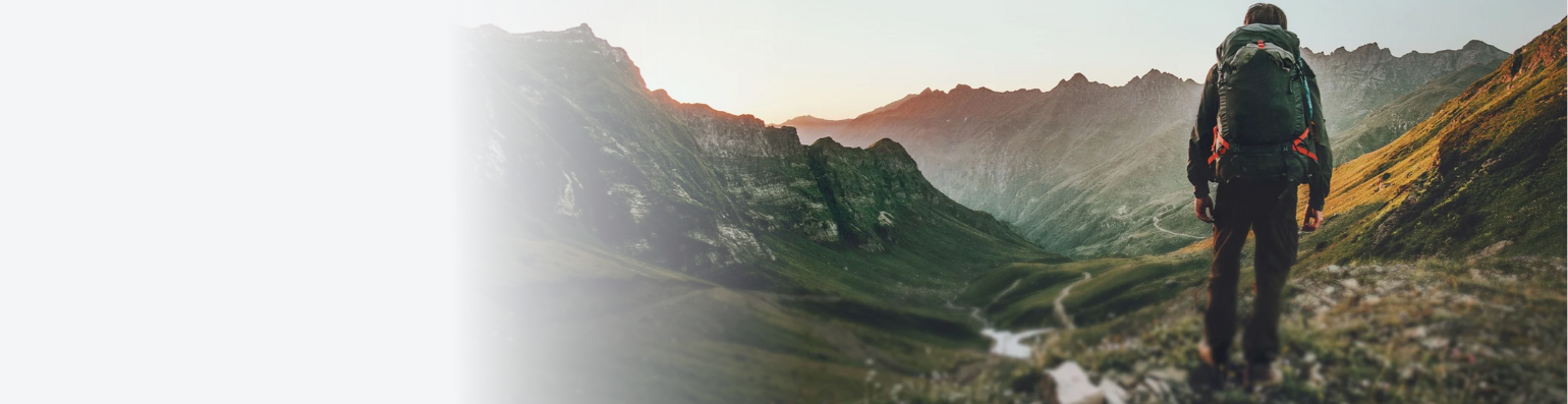 Alpen Bears