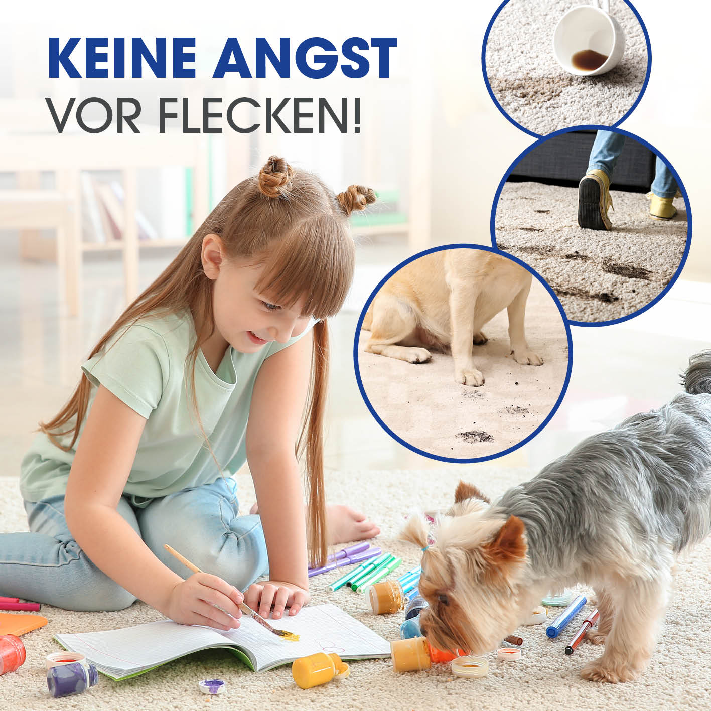 Teppichreiniger Pro+