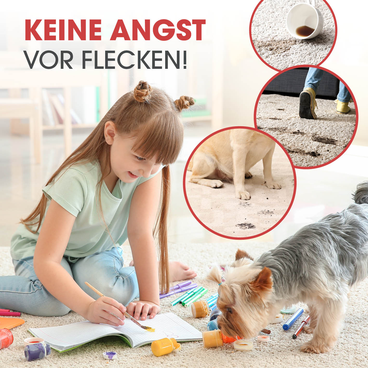 Teppichreiniger