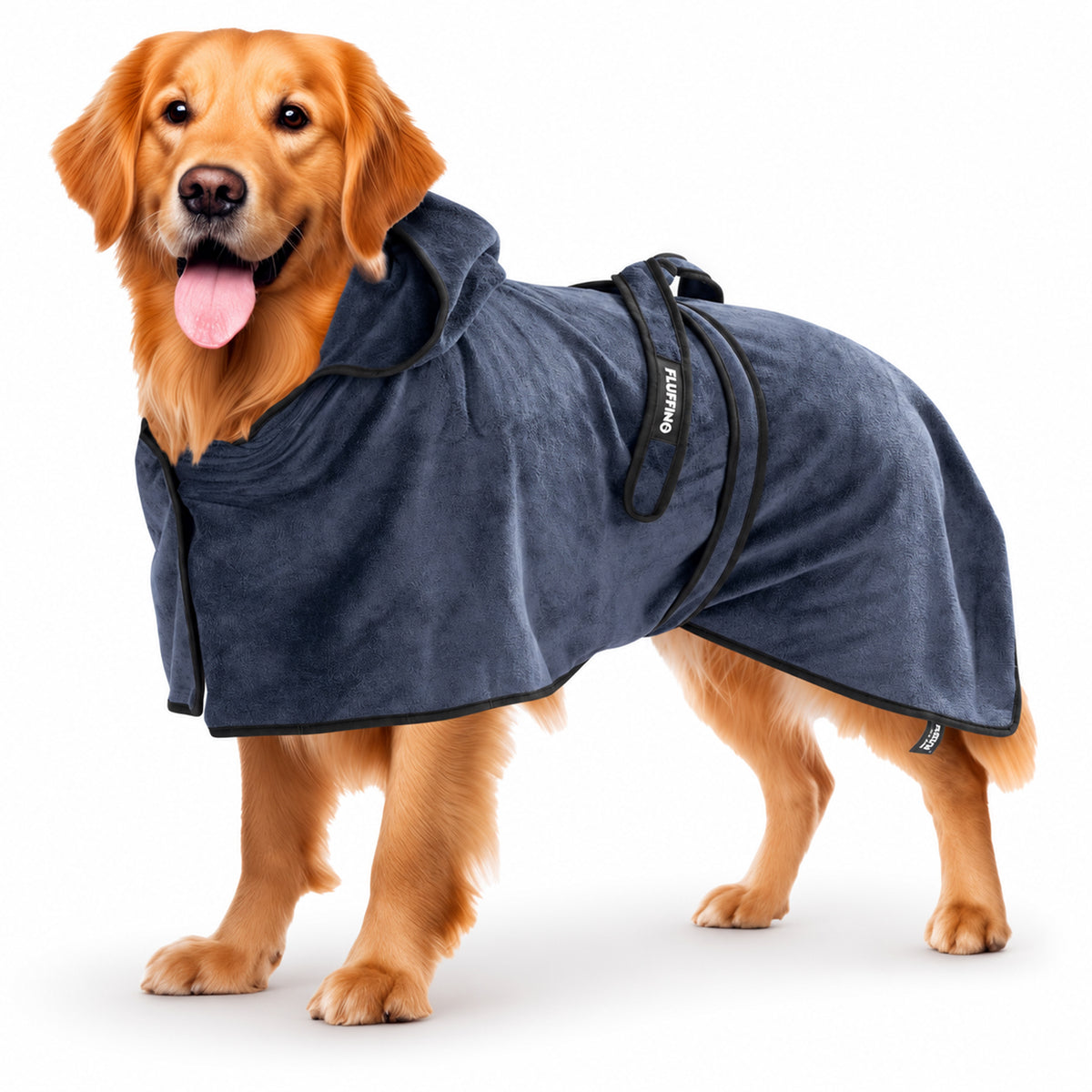 Hundebademantel - Größe S - beige/blau an goldenem Hund geschniegelt in blauem Bademantel