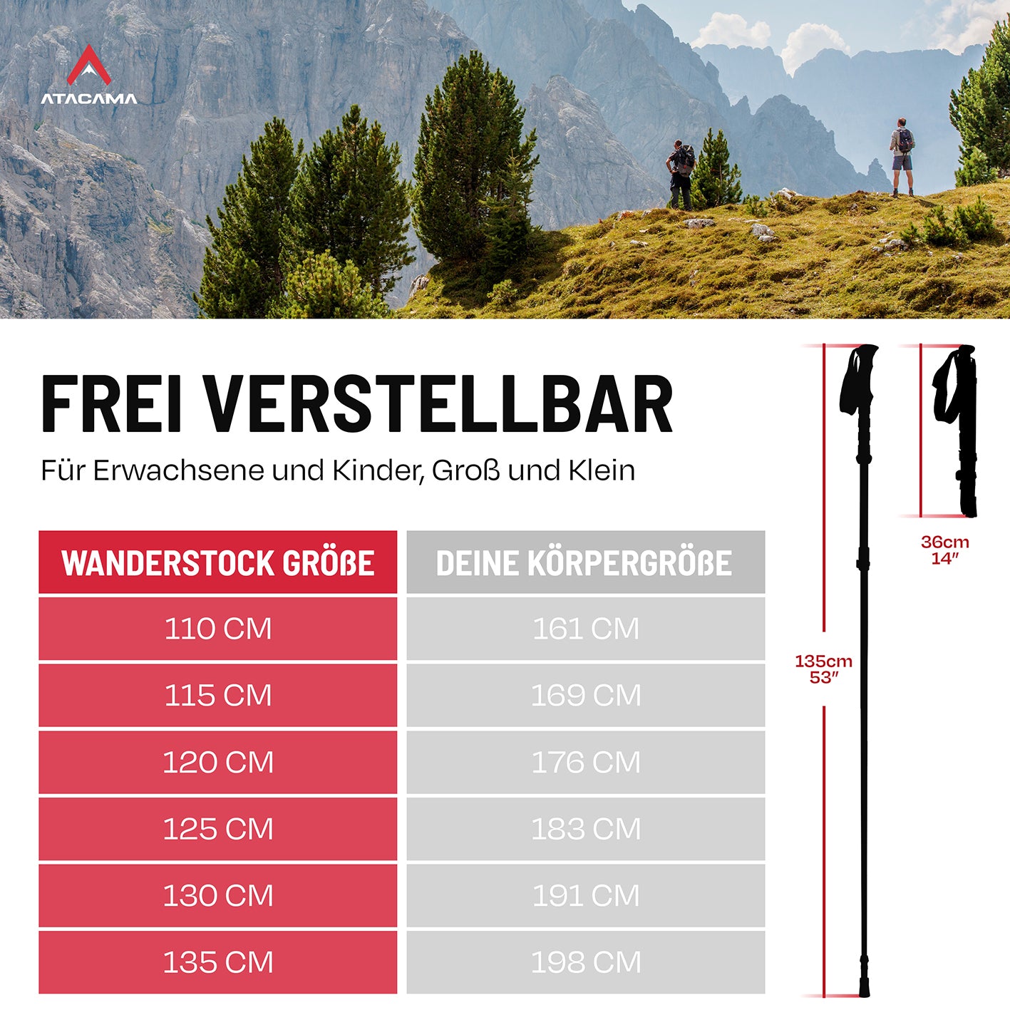 Teleskop Wanderstöcke - faltbar - CarbonMix - 63 cm /135 cm