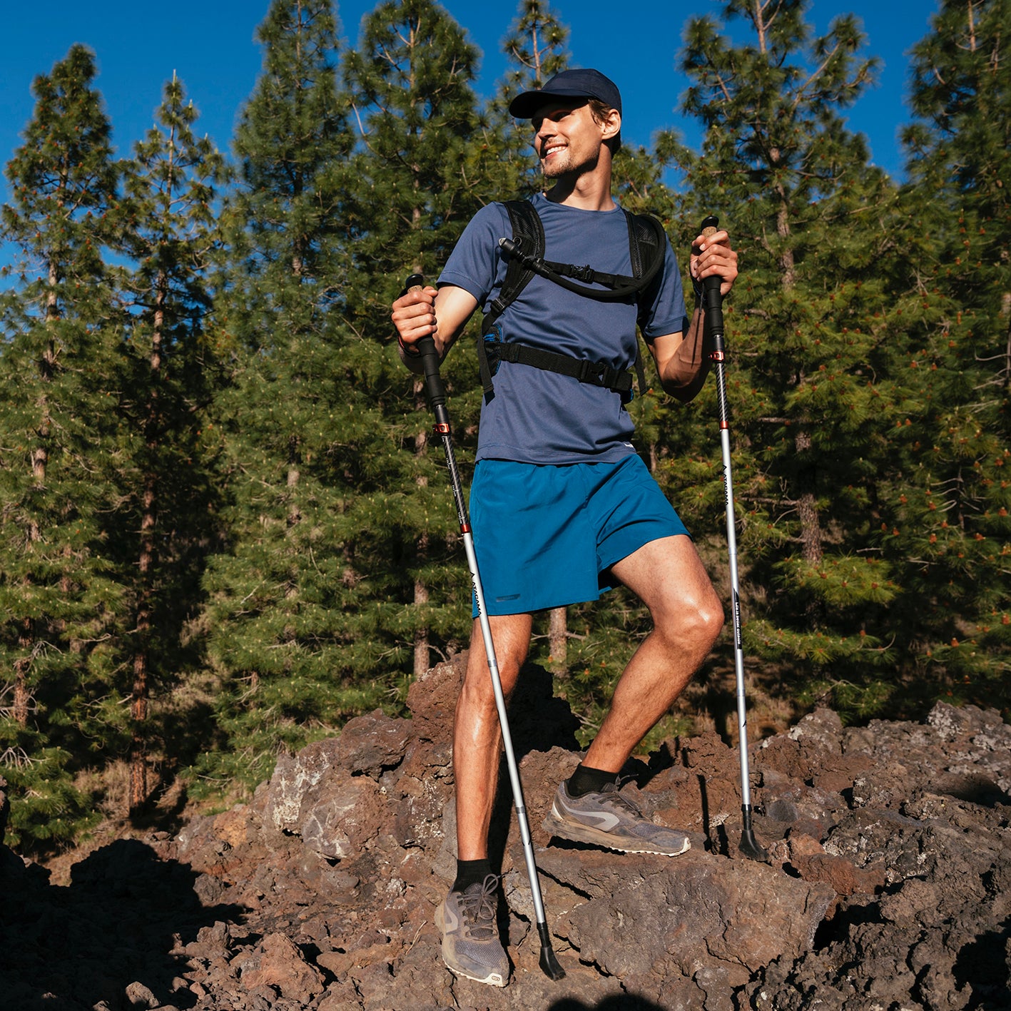 Teleskop Wanderstöcke - faltbar - CarbonMix - 63 cm /135 cm