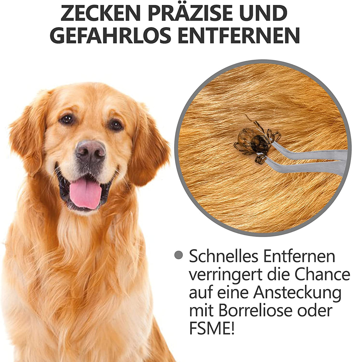 2-in-1 Profi Zeckenzange - für Hunde und Katzen -Schwarz zur präzisen Zeckenentfernung beim Hund