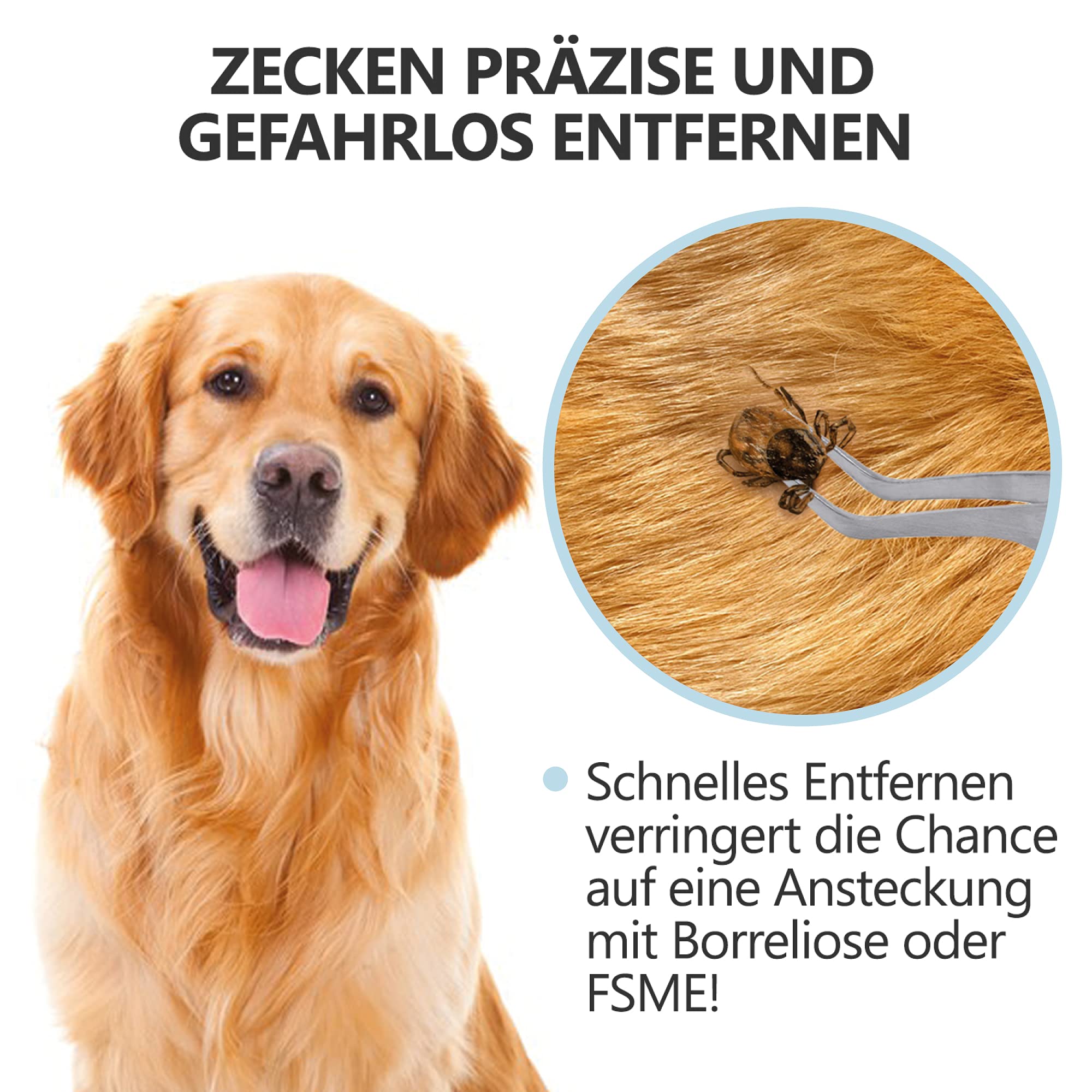 2-in-1 Profi Zeckenzange - für Hunde und Katzen - Hellblau