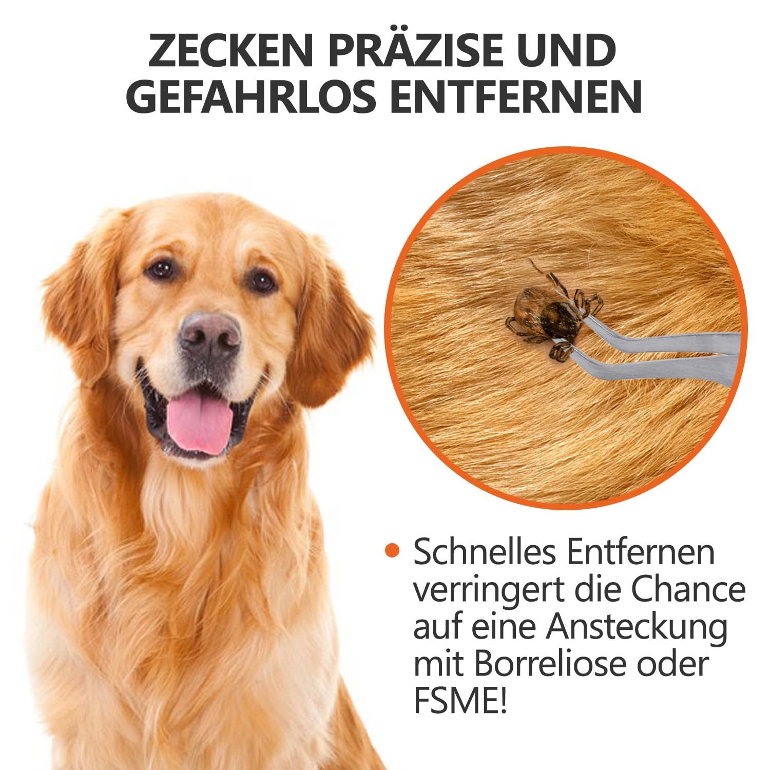 2-in-1 Profi Zeckenzange - für Hunde und Katzen - Silber