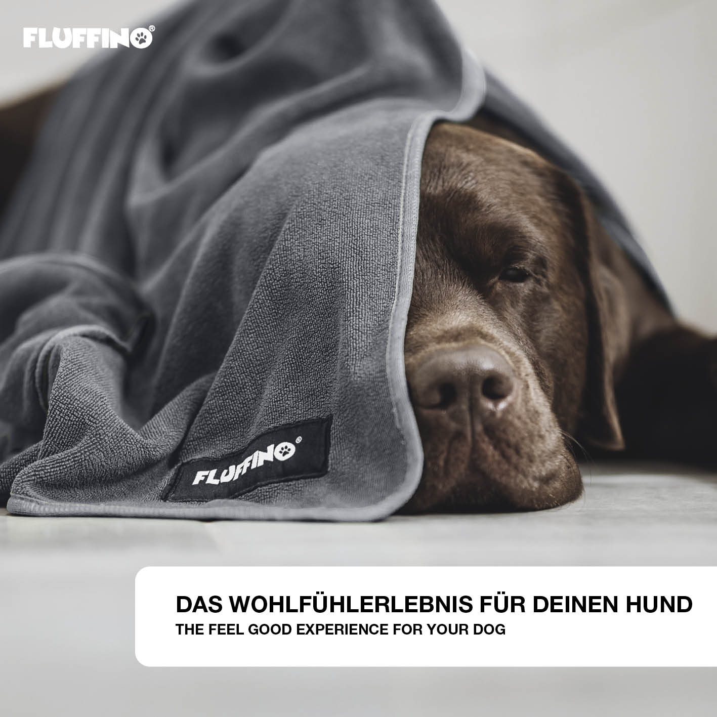 Hundehandtuch Mikrofaser – 2er-Pack (90 x 50 cm) – Dunkelgrau & Grau