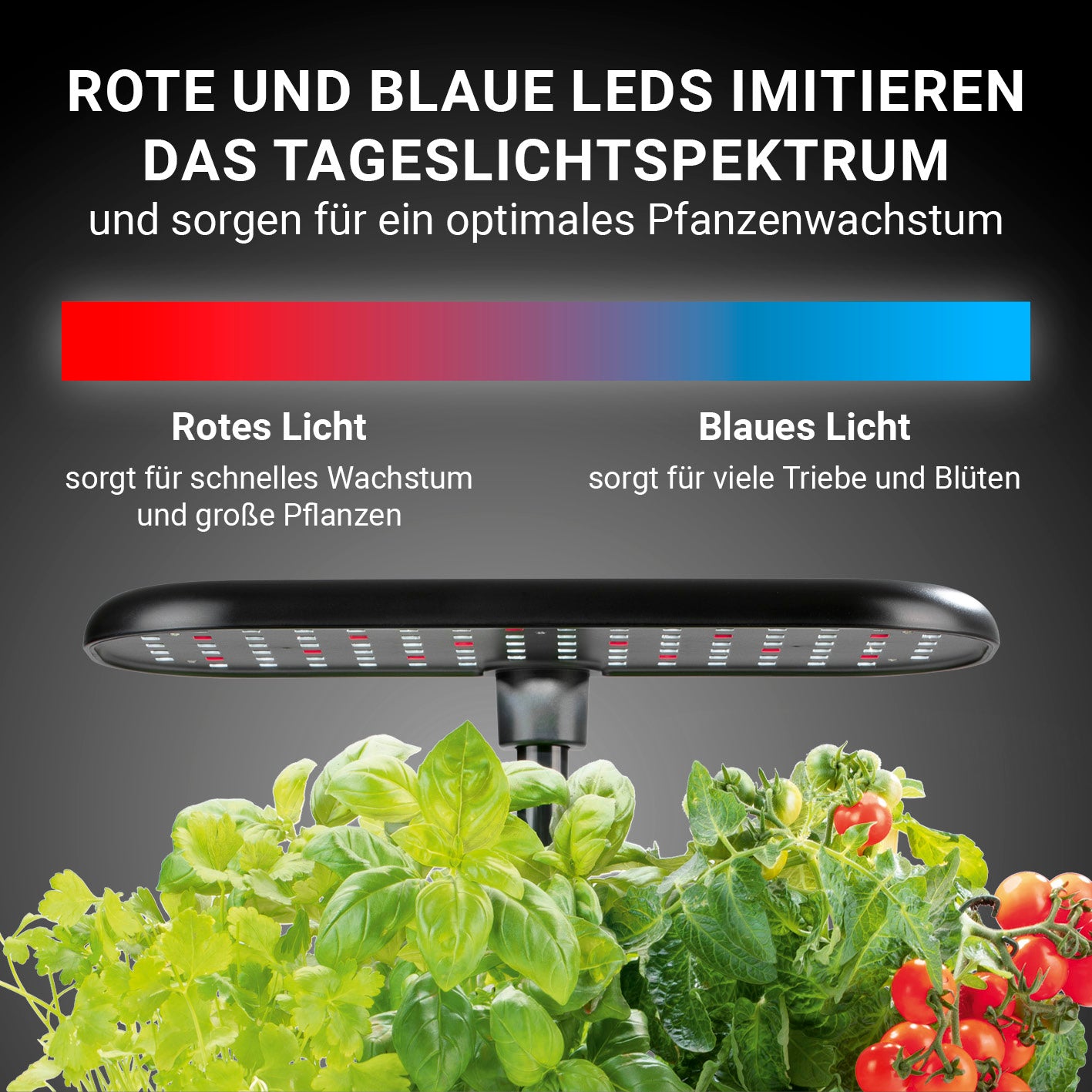 Hydroponische Pflanzenanzuchtstation mit Display + Ersatz-Set 56-tlg.