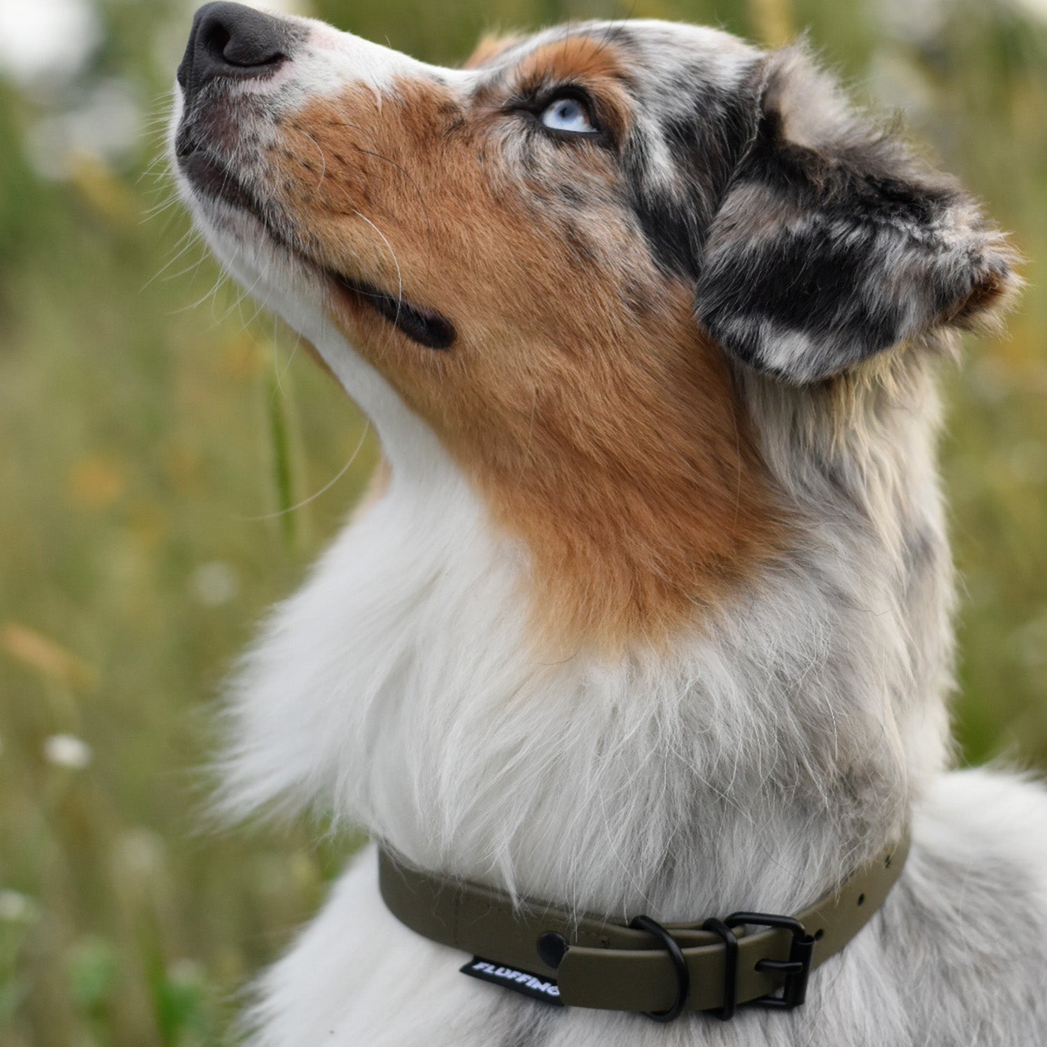 Hundehalsband aus BioThane - 5-Fach verstellbare - Größe L - Halsumfang 44 - 54 cm - Oliv