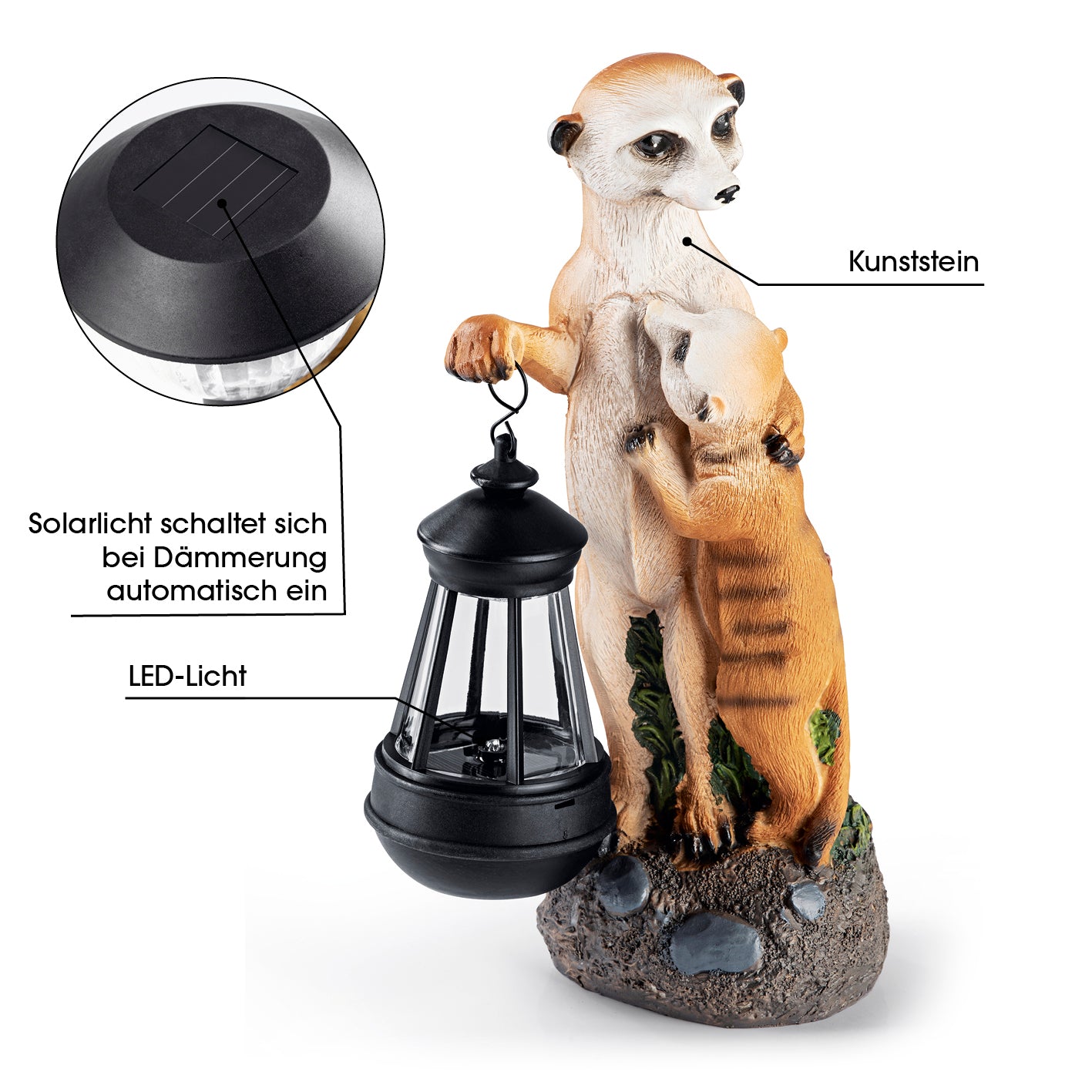 Solar-Erdmännchen-Familie