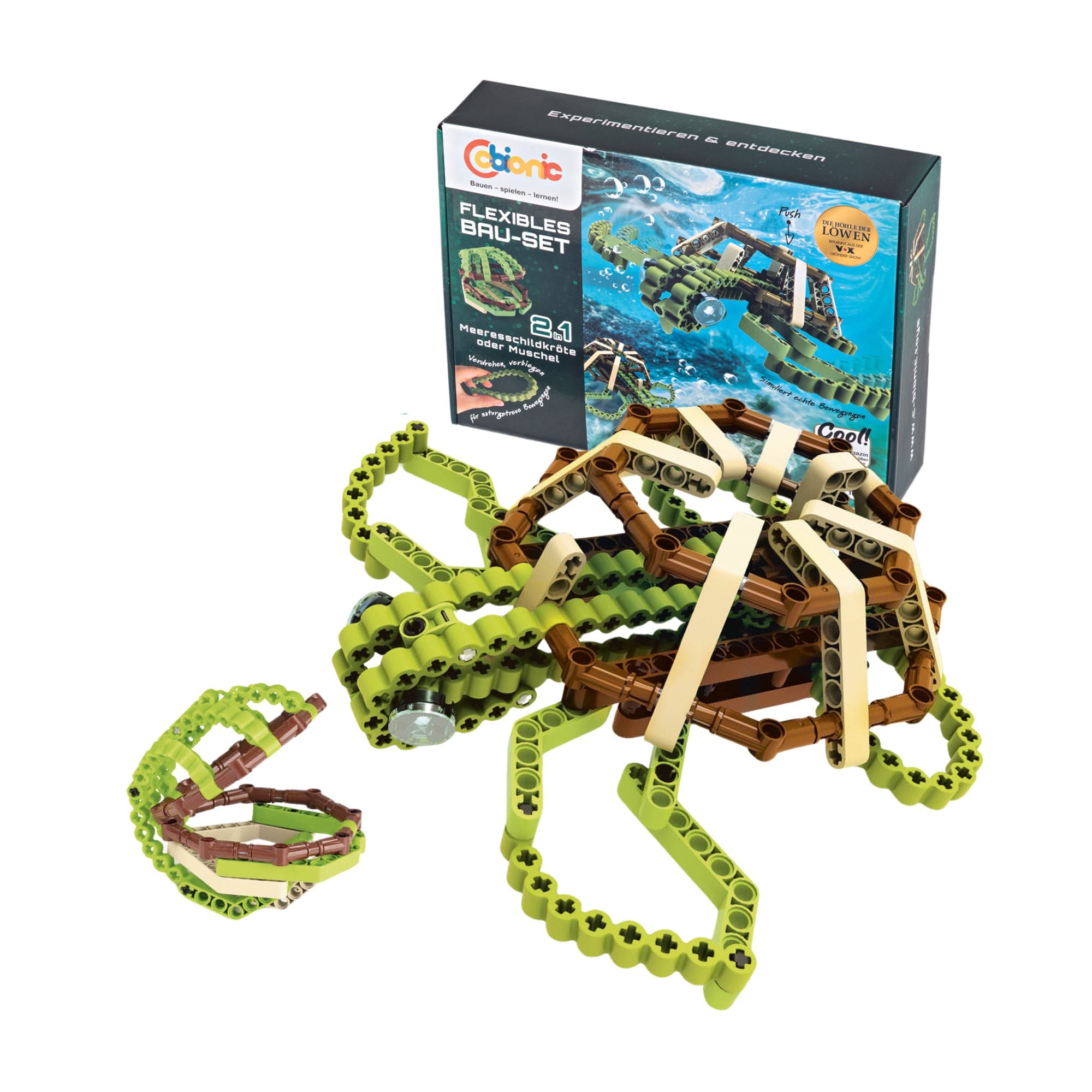 Baustein-Set Schildkröte