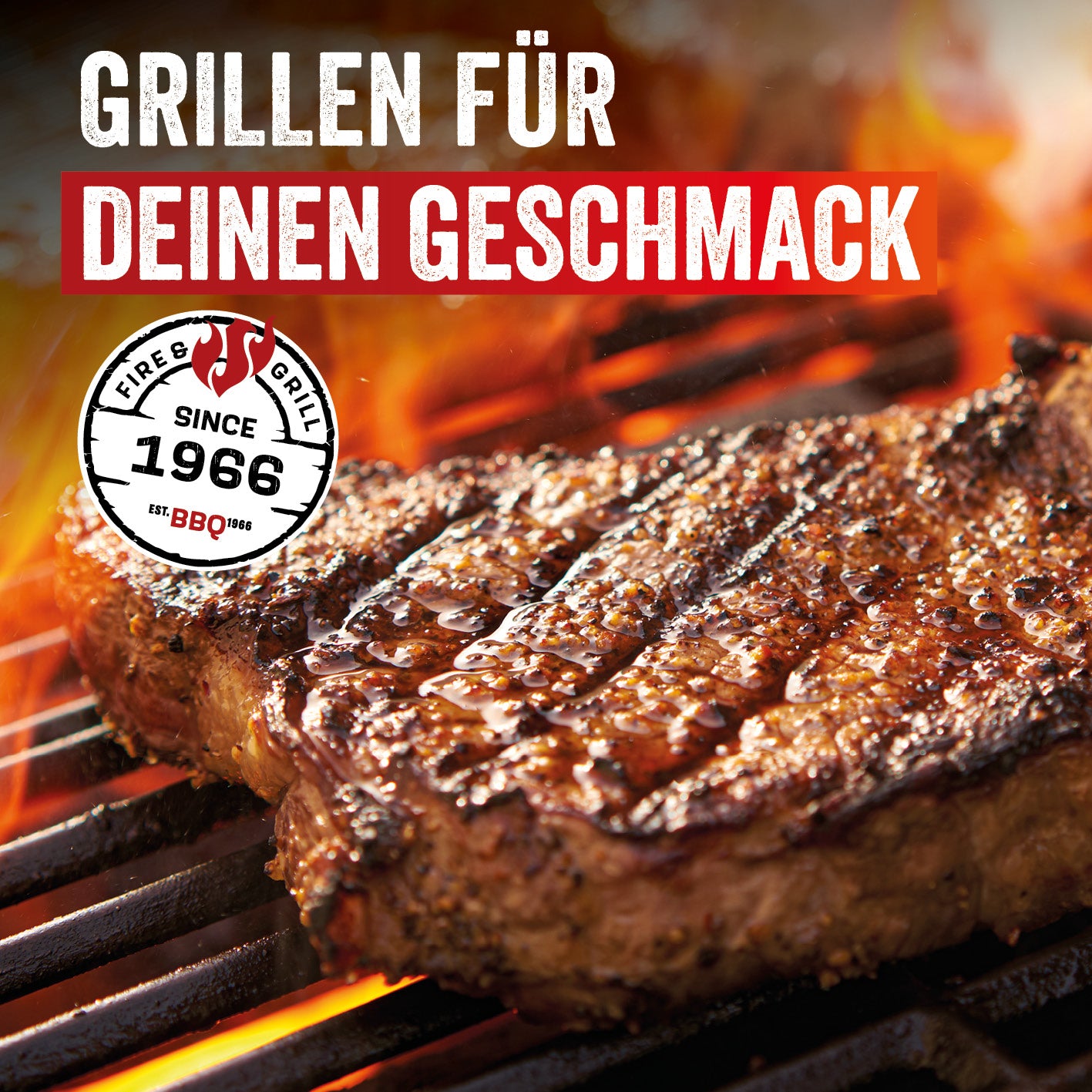Triton 3.1 maxX Gasgrill mit Infrarotseitenbrenner