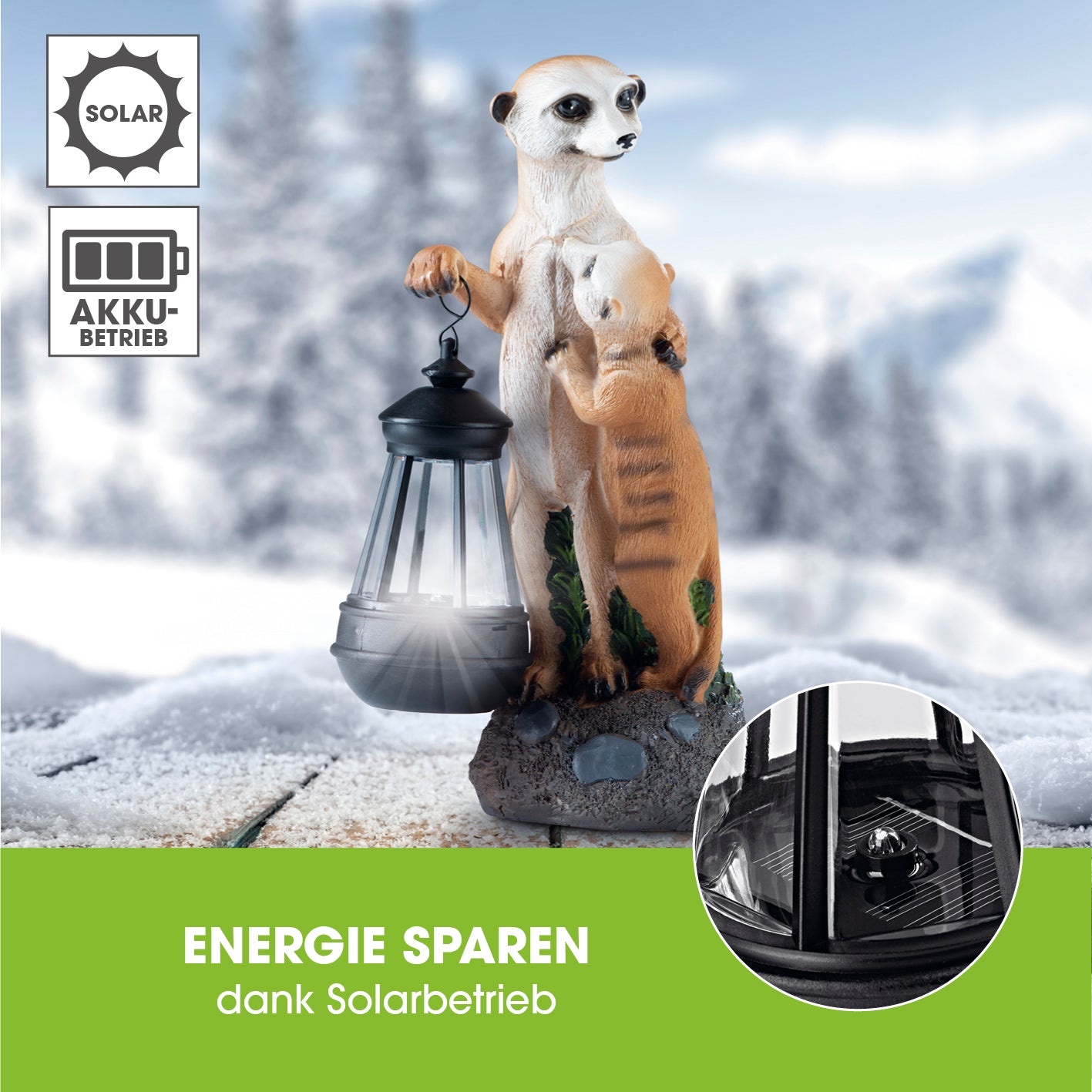 Solar-Erdmännchen-Familie