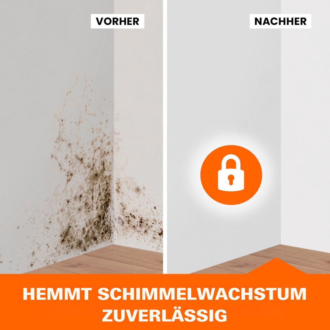 Tonis SCHIMMELSCHOCK Anti-Schimmel-Farbe 5.1 - 2er-Set