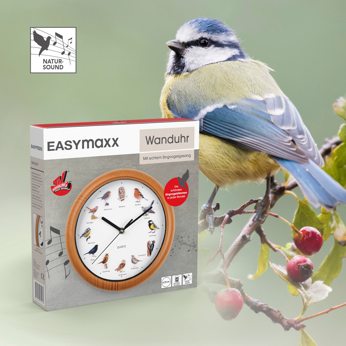 Wanduhr mit Vogelstimmen - 12 Singvogelstimmen - 25 cm