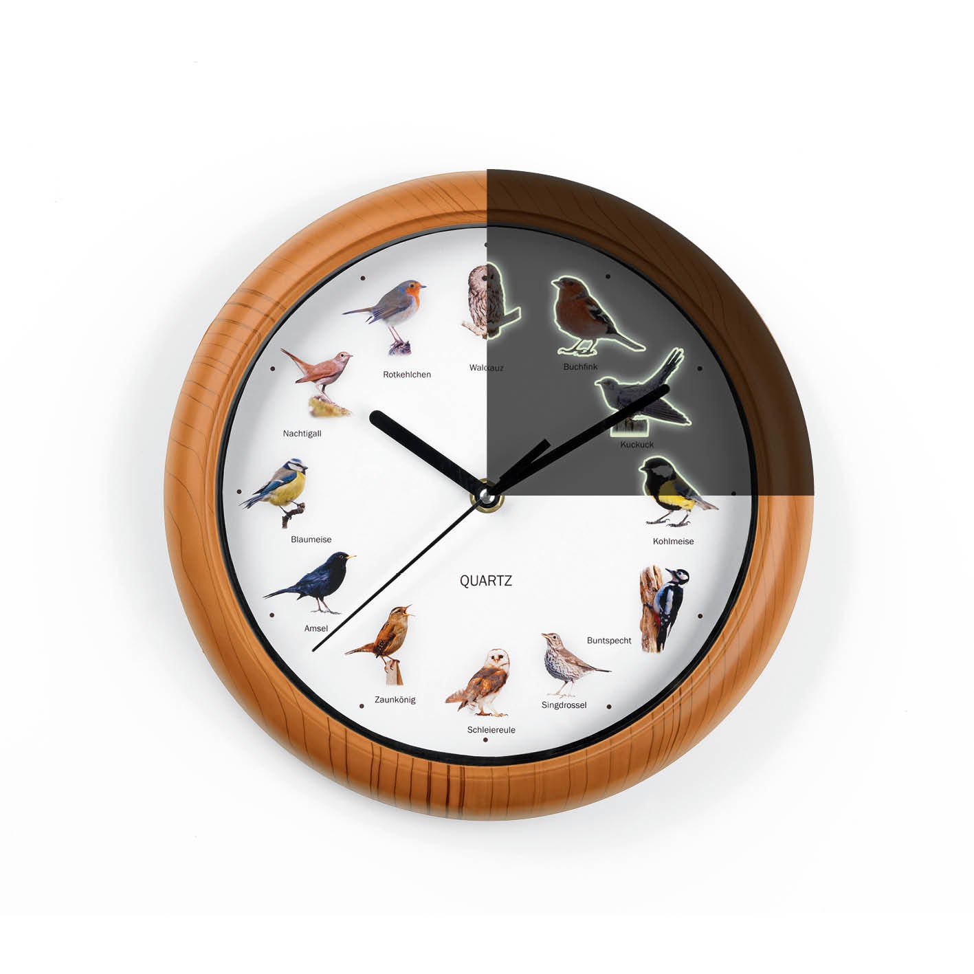 Wanduhr mit Vogelstimmen - 25cm