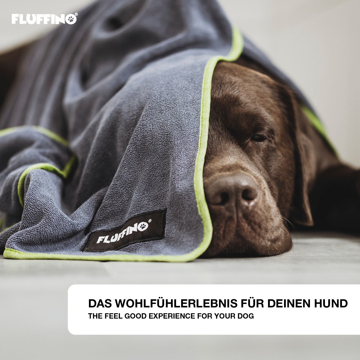 Hundehandtuch Mikrofaser – 2er-Pack - 120 x 70 cm - Grau & Grün