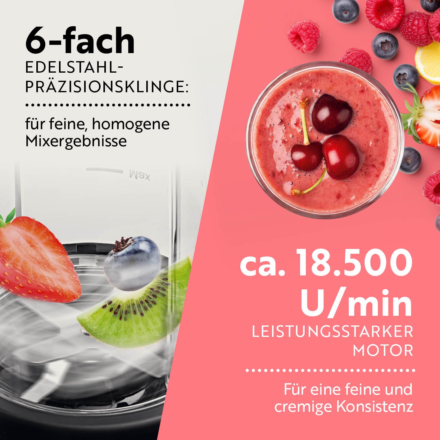 Nutrition Mixer Pro 1.000 mit Basis-Set M - Anthrazit/Schwarz