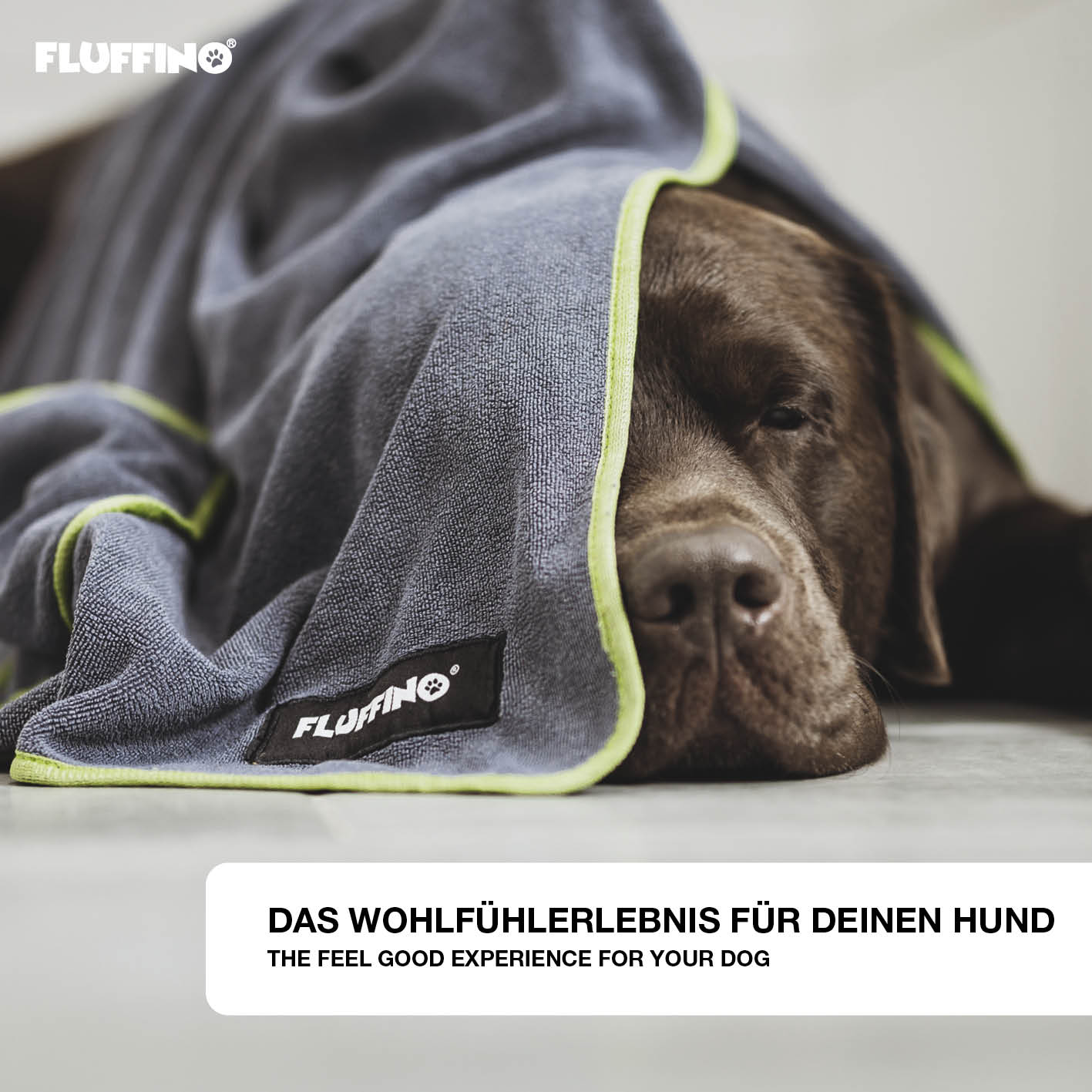 Hundehandtuch Mikrofaser – 4er-Pack - Grau & Grün