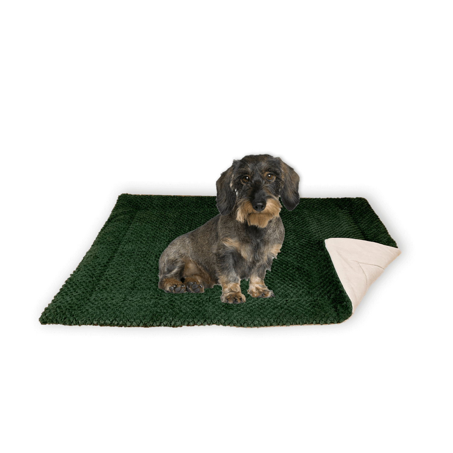 FLUFFINO® Hundedecke/Hundekissen - Wildlederimitat - Größe S (73 x 45 cm) - grün