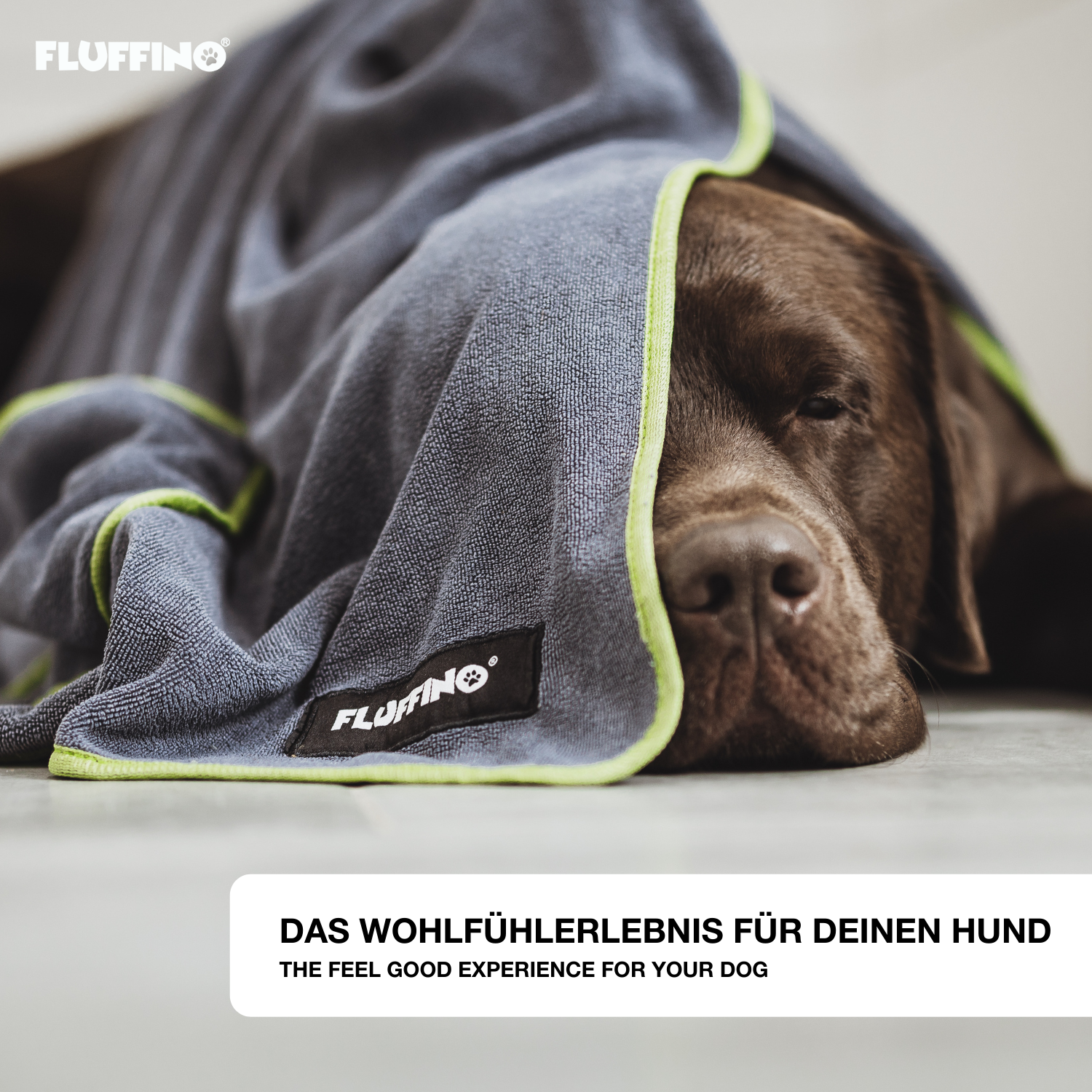 FLUFFINO® Hundehandtuch Mikrofaser – 2er-Pack - 120 x 70 cm - Grau & Grün