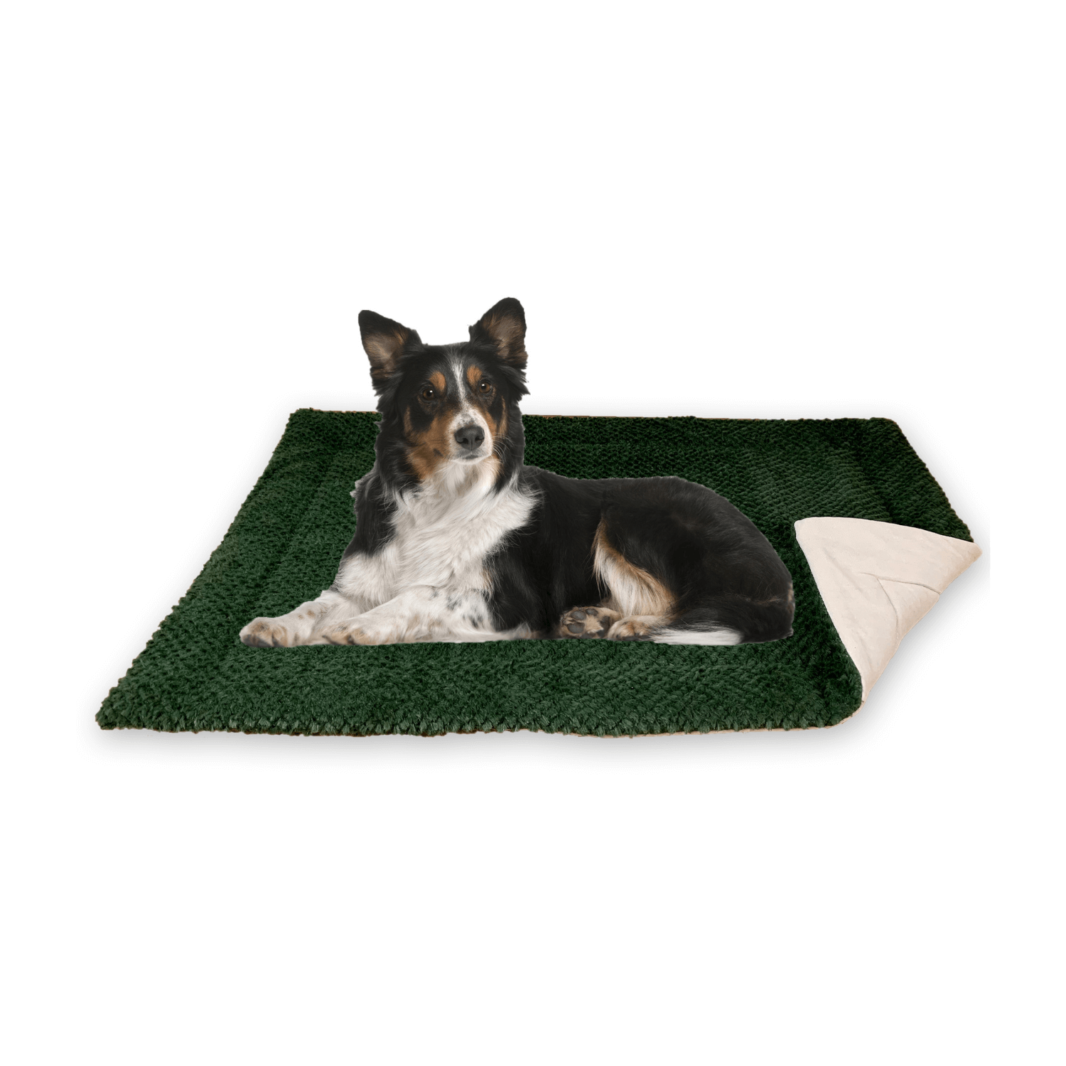 FLUFFINO® Hundedecke/Hundekissen - Wildlederimitat - Größe M (88 x 55 cm) - grün
