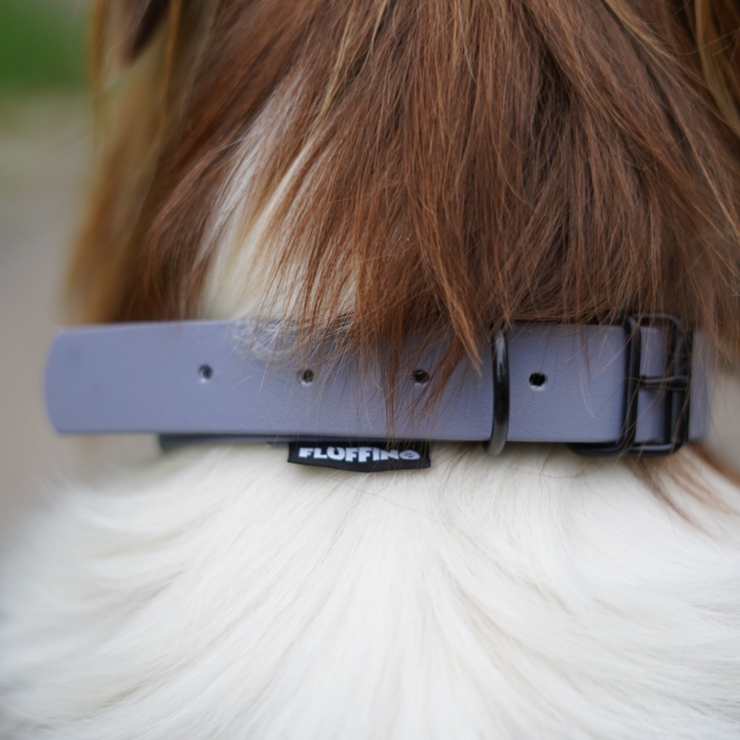 Hundehalsband aus BioThane - 5-Fach verstellbare - Größe L - Halsumfang 44 - 54 cm - Grau